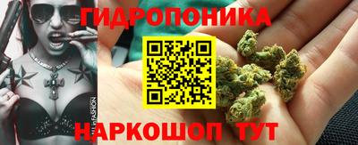 молекула духа Партизанск