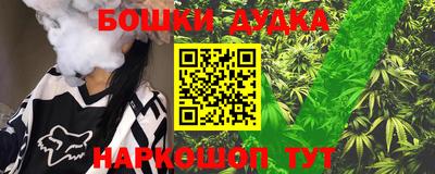 молекула духа Партизанск