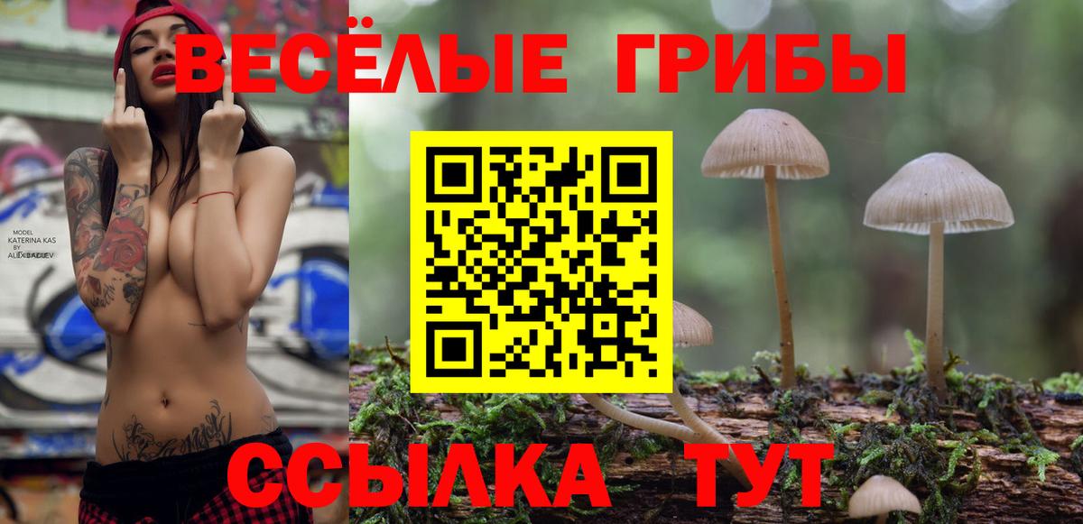 Галлюциногенные грибы Psilocybe  Галлюциногенные грибы Magic Shrooms  Вход с VPN  Туапсе 