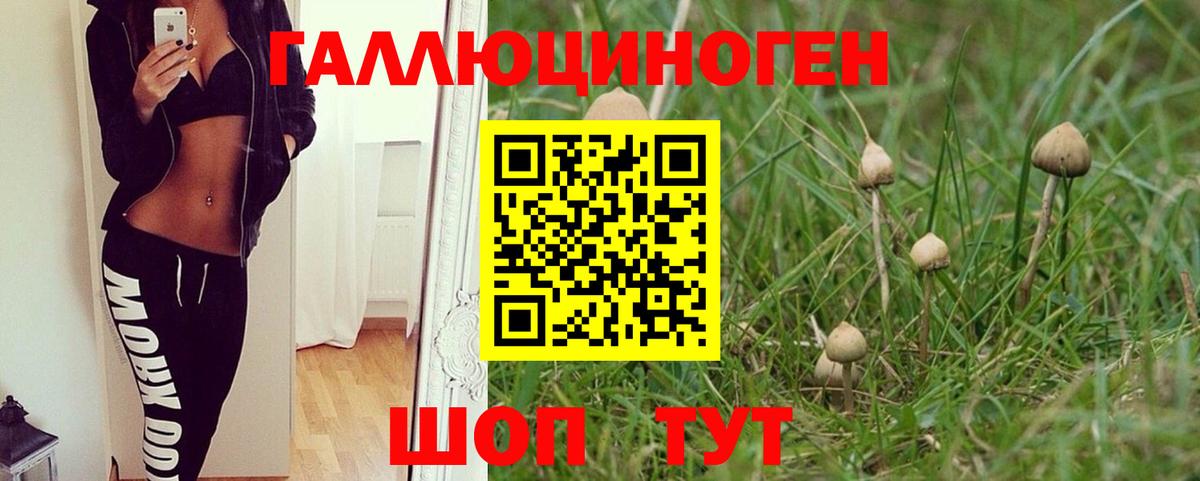 Галлюциногенные грибы ЛСД Туапсе